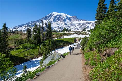 Amazing Things To Do In Mount Rainier National Park