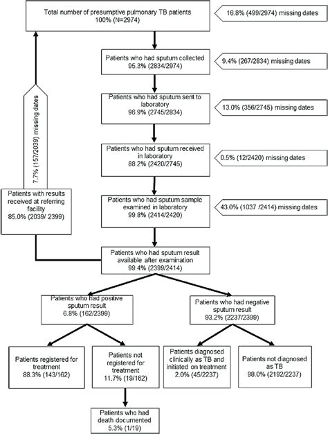 Pathophysiology Of Tuberculosis In Flow Chart Ponasa