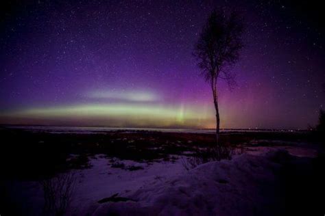 Aurora Borealis Forecast Everything You Need To Know Aurora
