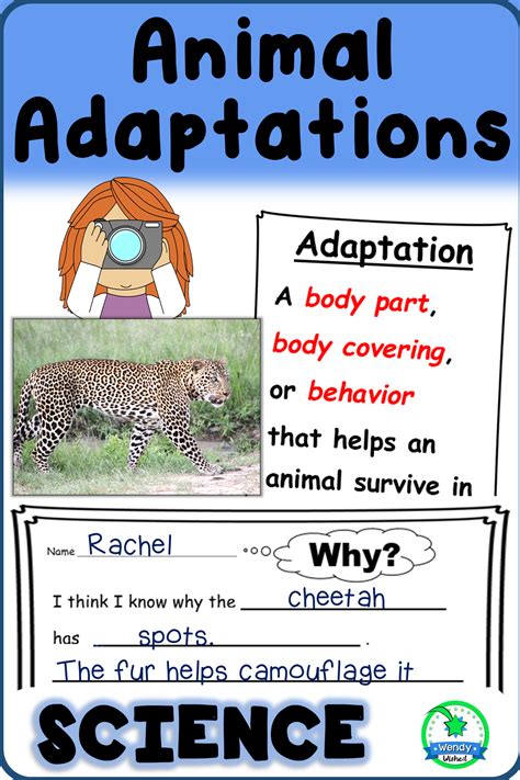 Animal Adaptations Activities For Structure And Function Of Inherited