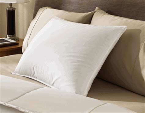 We pride ourselves in offering the same bedding featured in hotels around the world to our retail customers. Pillow Factory ® Microfiber Fill Holiday Inn Express ...