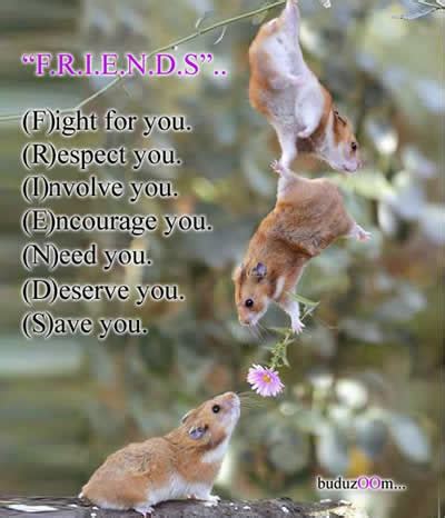Friend Friendship Inspirational Picture And Motivational Quote Inspirational Quotes