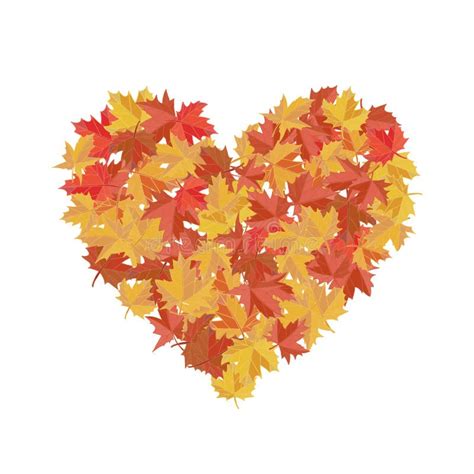 Maple Leaves In The Shape Of Heart Stock Vector Illustration Of