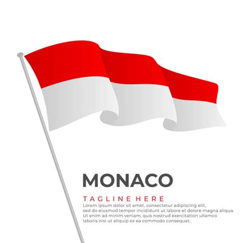 10 Monaco Map Vector Monaco Flag Vector Isolated Monaco Illustrations