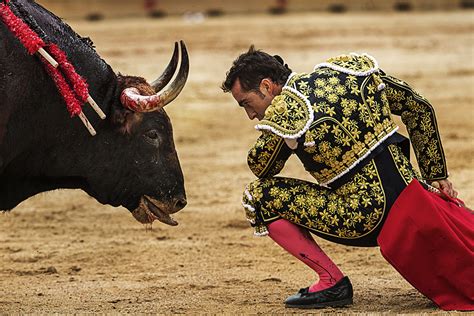 Px3 2018 Winner Spanish Bullfighting Single Winner