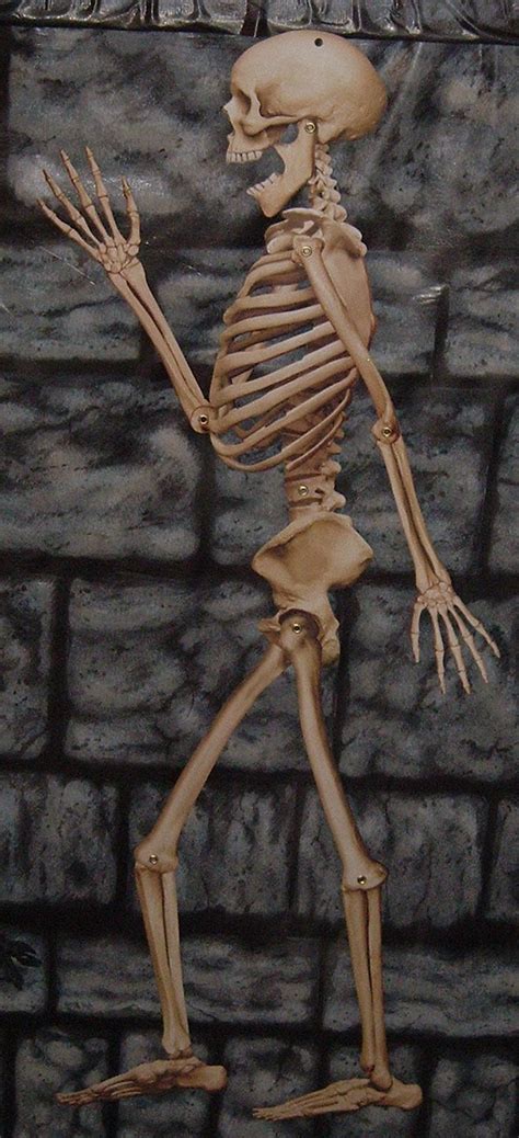 WALL HANGING SKELETON - 6-ft-under