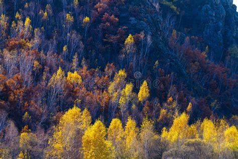 China The Greater Hinggan Mountains In Inner Mongolia Autumn Scenery