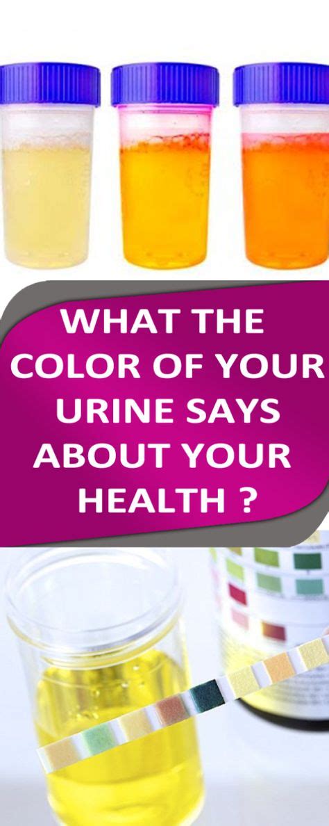What The Color Of Your Urine Says About Your Health Health Urinal