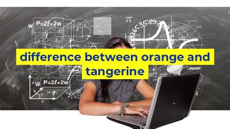 Difference Between Orange And Tangerine Sinaumedia