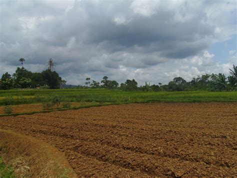 Situs jual beli properti rumah tanah indonesia. Jual Tanah Villa Di Bogor - Informasi Jual Beli