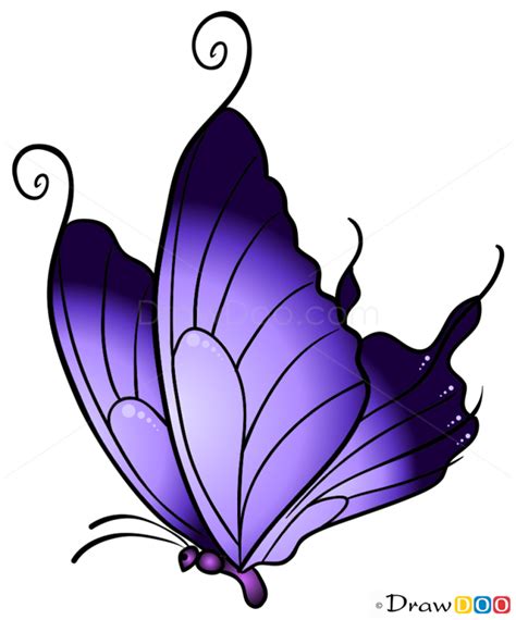 How To Draw Purple Butterfly Butterflies