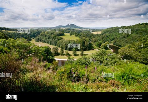 The River Tweed And Eildon Hills At Scotts View Stock Photo Alamy