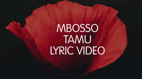 Mbosso Tamu Lyric Video Skiza 8544941 To 811 Youtube