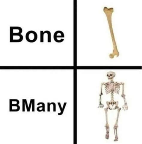 Four Different Types Of Bones With The Words Bone B Many And C O