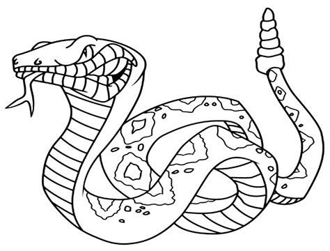 Desenhos De Cobra Para Colorir Pop Lembrancinhas