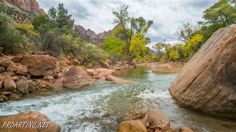 The river is about 162 miles (261 km) long. Virgin River-a Beautiful Creator of Zion Canyon | ProArtInc