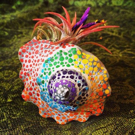 We did not find results for: air plant in a hand-painted conch shell - ooak iona plant ...