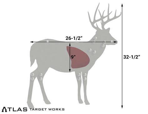 Ar500 Half Scale Whitetail Buck W Reactive Vital Atlas Target Works