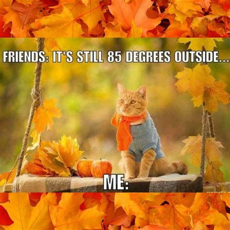 October Memes Funny Memes About October Digital Mom Blog
