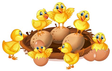 Many Chicks And Eggs In Nest 367903 Vector Art At Vecteezy