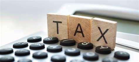 Tax Collections To Continue Rising Trend In Coming Months Experts