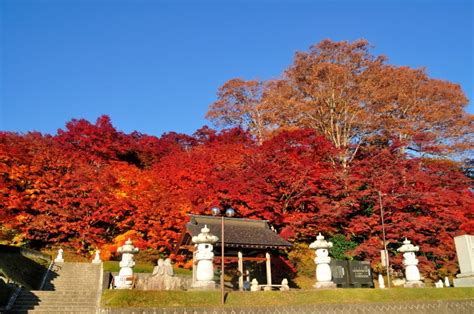 大子町 永源寺の紅葉 2016 毎日お疲れ05