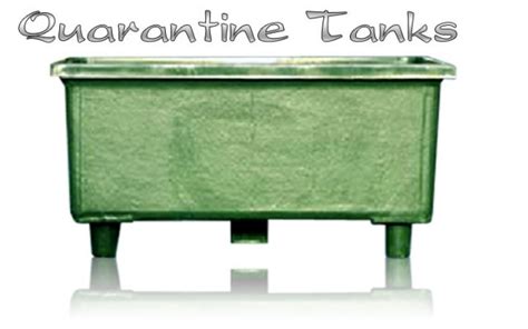 Quarantine Tanks Koi Vats Ideal To Quarantine Your Koi