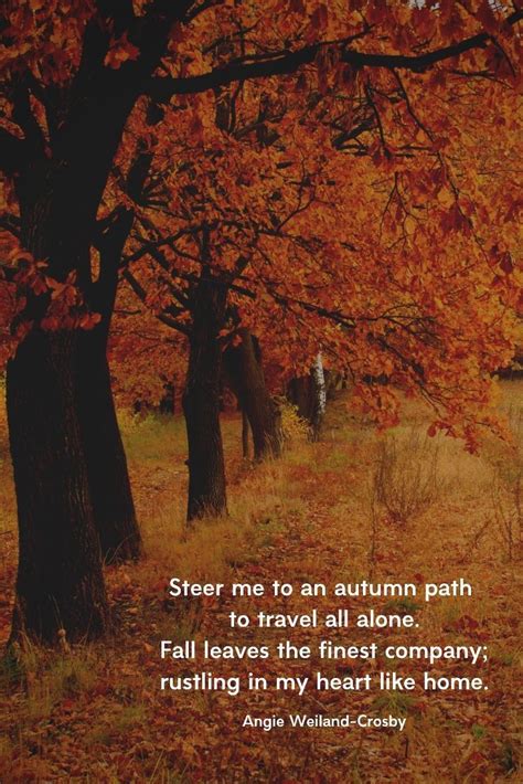 50 Autumn Quotes And Fall Quotes And Captions To Enchant And Deepen The