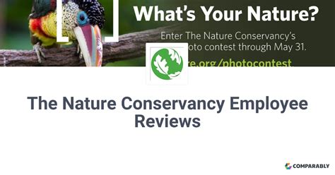 The Nature Conservancy Employee Reviews Comparably