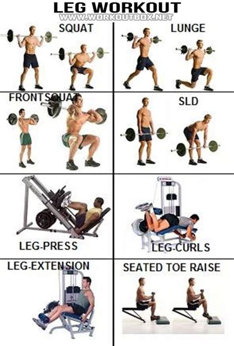 Leg Workout Workout Leg Workouts For Men Fun Workouts