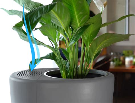 If you want an air purifier for a midsize room, coway's hepa air purifier is one of the best options around with one of the most adventurous looks. URBIE Air Eco Air Purifier with potted plant is also ...