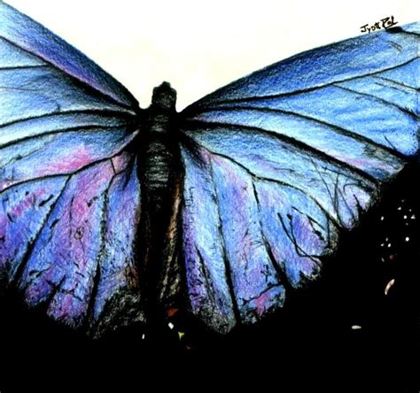 Butterfly Wings By Jy0ti On Deviantart