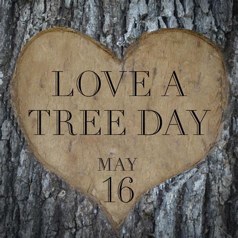 Love a tree day quotes. Today is National Love a Tree Day! Tag a tree lover.??? | Scoopnest