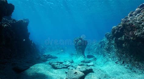 Rocky Ocean Floor Natural Underwater Seascape In The Pacific Ocean