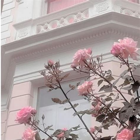 Pink Flower Aesthetic Background Idalias Salon