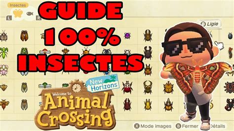 Guide Complet Des Insectes Animal Crossing New Horizons Youtube