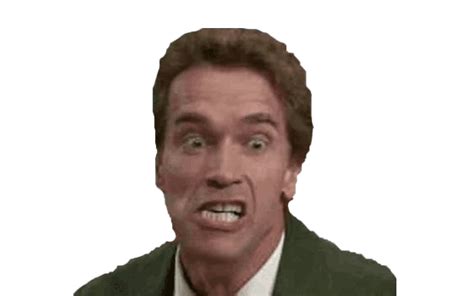 Arnold Schwarzenegger Png Transparent Images Png All