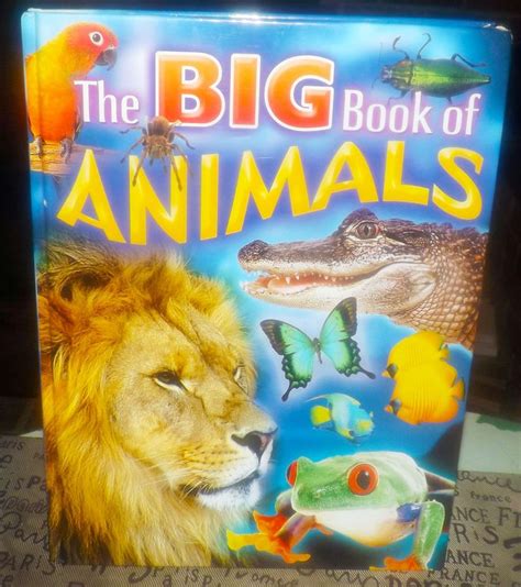 The Big Book Of Animals Childrens Full Color Hardcover Book
