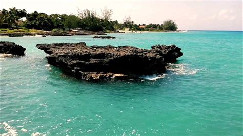 Smith Cove Grand Cayman Places To Visit In Cayman Islands Youtube