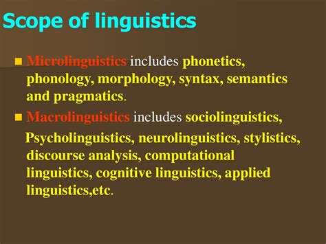 Interdesign4 Semantics Definition Linguistics Rezfoods Resep