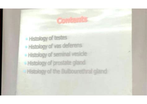 Solution Lecture 8 Histology Male Genital System 2 Studypool
