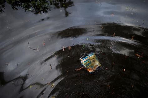 Florida Beaches Receive ‘dont Swim Advisories After High Bacteria Levels Found In Water The