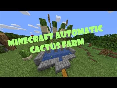 Break the rail so that the minecart is resting freely. Minecraft Super Simple Automatic Cactus Farm Design (1.14 ...