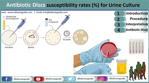 Urine Culture Antibiotic Discs Sensitivity Suspected Ratio Lab Tests