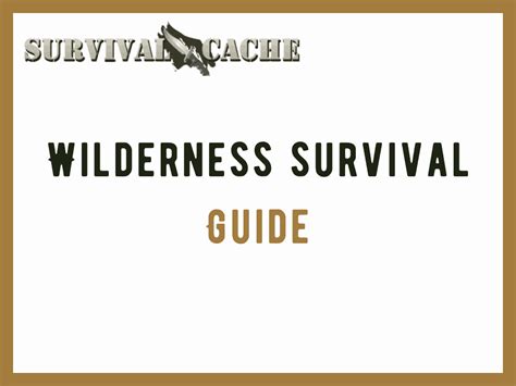 Wilderness Survival Guide For 2022 8 Common Mistakes And Expert Tips