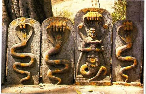 Naga The Snake Is A Symbol Of Kundalini Power Wordzz