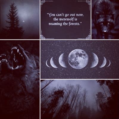 Black Werewolf Kin Aesthetic Tumbex