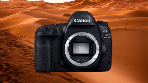 10 Best Cameras For Nature Photography Buyers Guide