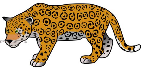 Jaguar Animal Clipart Free Download On Clipartmag