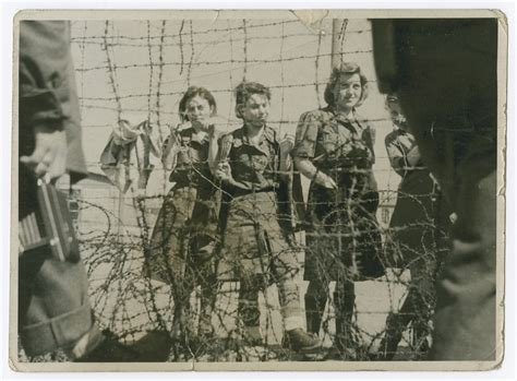Nazi Female Concentration Camp Guards